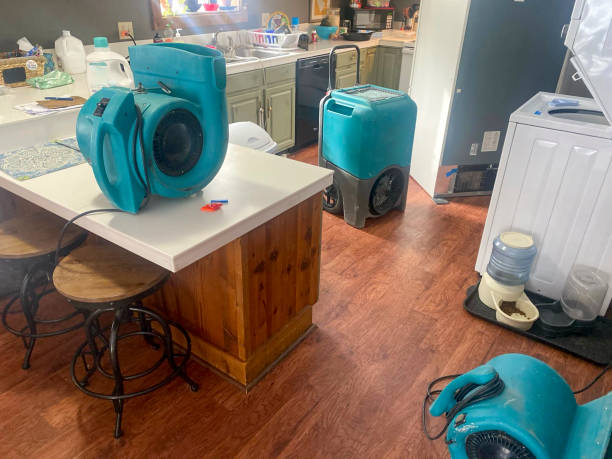 Best Flooded house restoration  in Sterling Heights, MI