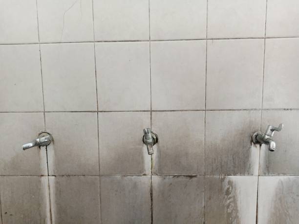Best Local water damage restoration  in Sterling Heights, MI