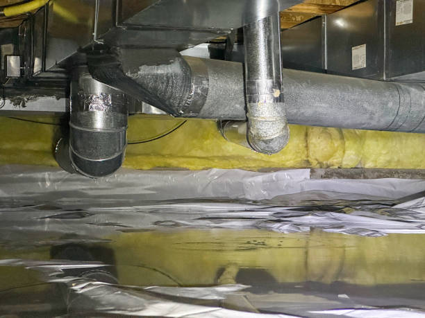 Best Residential water damage restoration  in Sterling Heights, MI