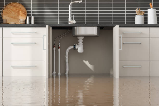 Best Flooded house restoration  in Sterling Heights, MI