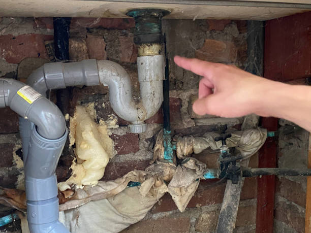 Best Emergency water damage restoration  in Sterling Heights, MI
