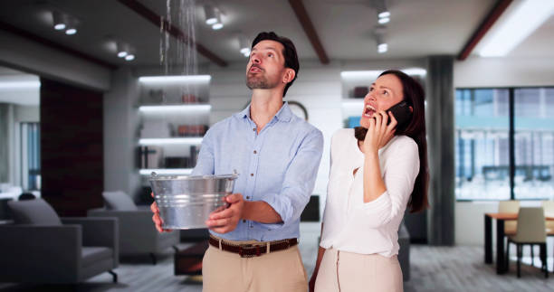 Best Water damage restoration insurance claims  in Sterling Heights, MI