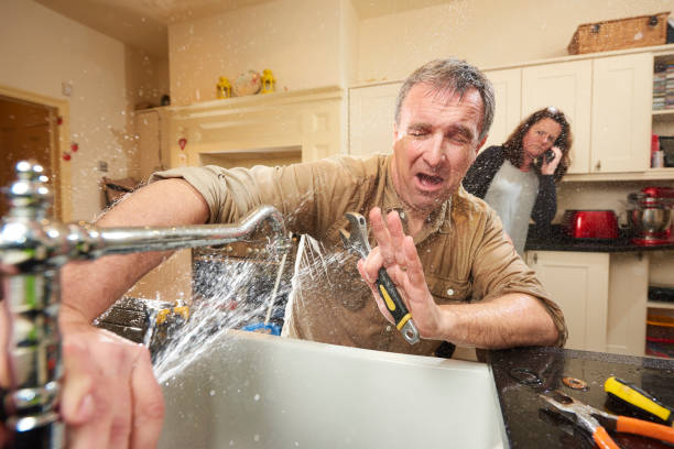 Best Water damage cleanup near me  in Sterling Heights, MI